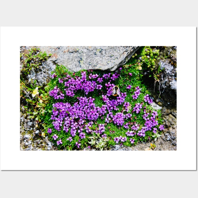 Flowers Swiss Alps Wall Art by Wolf Art / Swiss Artwork Photography